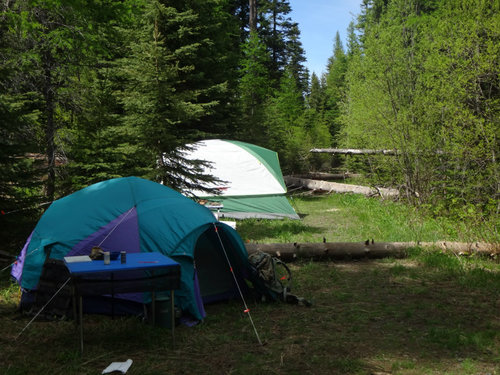 Bear Camp 6.jpg