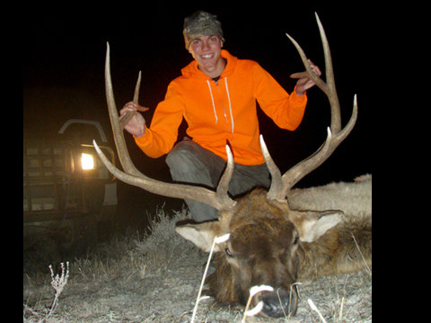6x5 Bull Elk.jpg