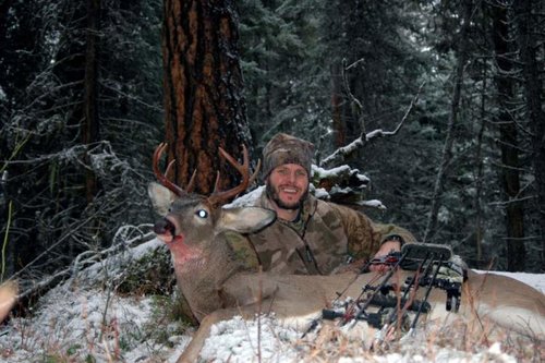 2014 - Shay Whitetail_low res.jpg