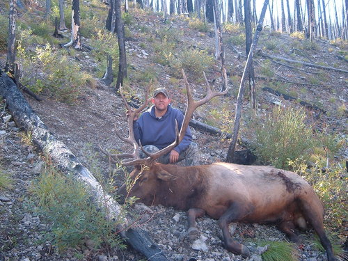 Elk hunting 05 001.jpg