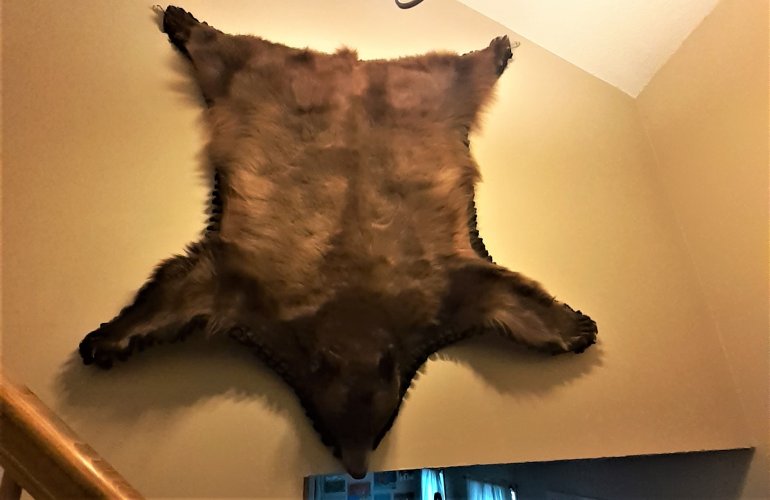 bear rug hung.jpg