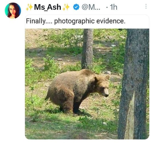 bear shit.jpg