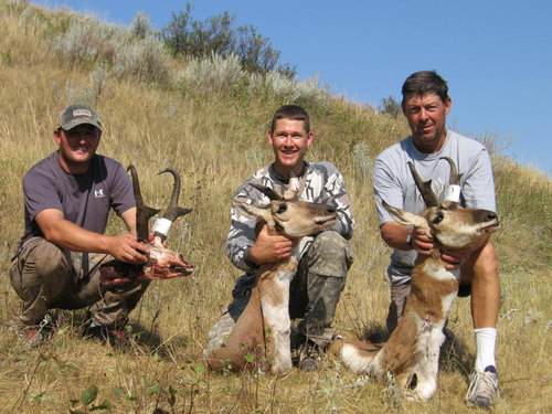 2007 Bow Goats.JPG