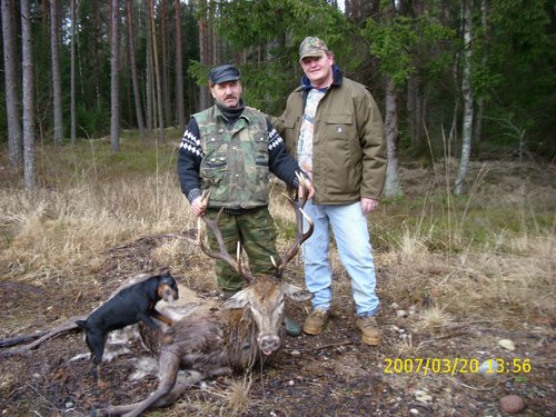 Red Stag Hunt Latvia 022.jpg