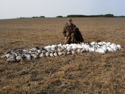 SK Goose Hunt2-crop.jpg