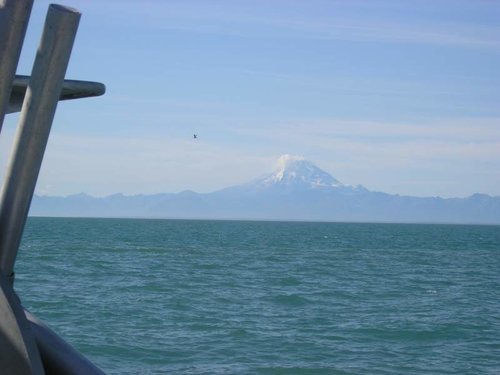 Mt. Redoubt and Eagle.jpg