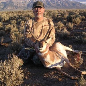2014  antelope