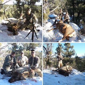 Son's 2015 elk hunt