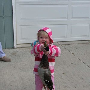 Already loves ducks at the age of 2.