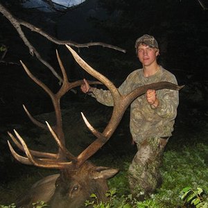 Over the counter tag, Public land, First Bull, First archery elk. Solo hunt, Extremely lucky.
