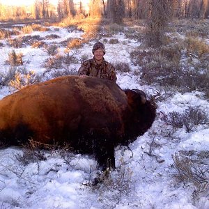 Wyoming - Wild Bison - Unit 2