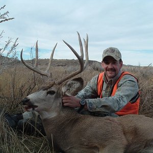 2008 Mule Deer