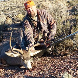 Nevada Mule Deer 2014