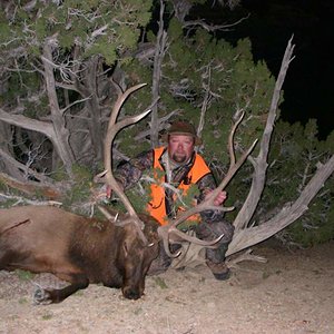 Wyoming Rocky Mountain Elk