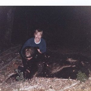 1987 Bear