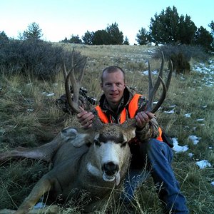 2013 Mule Deer Buck (3)