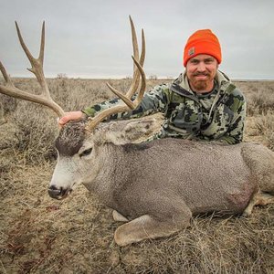 2017 MT Mule Deer Hunt 3 preview