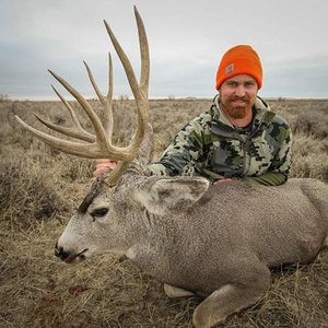 2017 MT Mule Deer Hunt 4 preview
