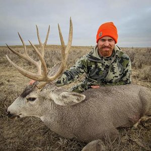 2017 MT Mule Deer Hunt 8 preview