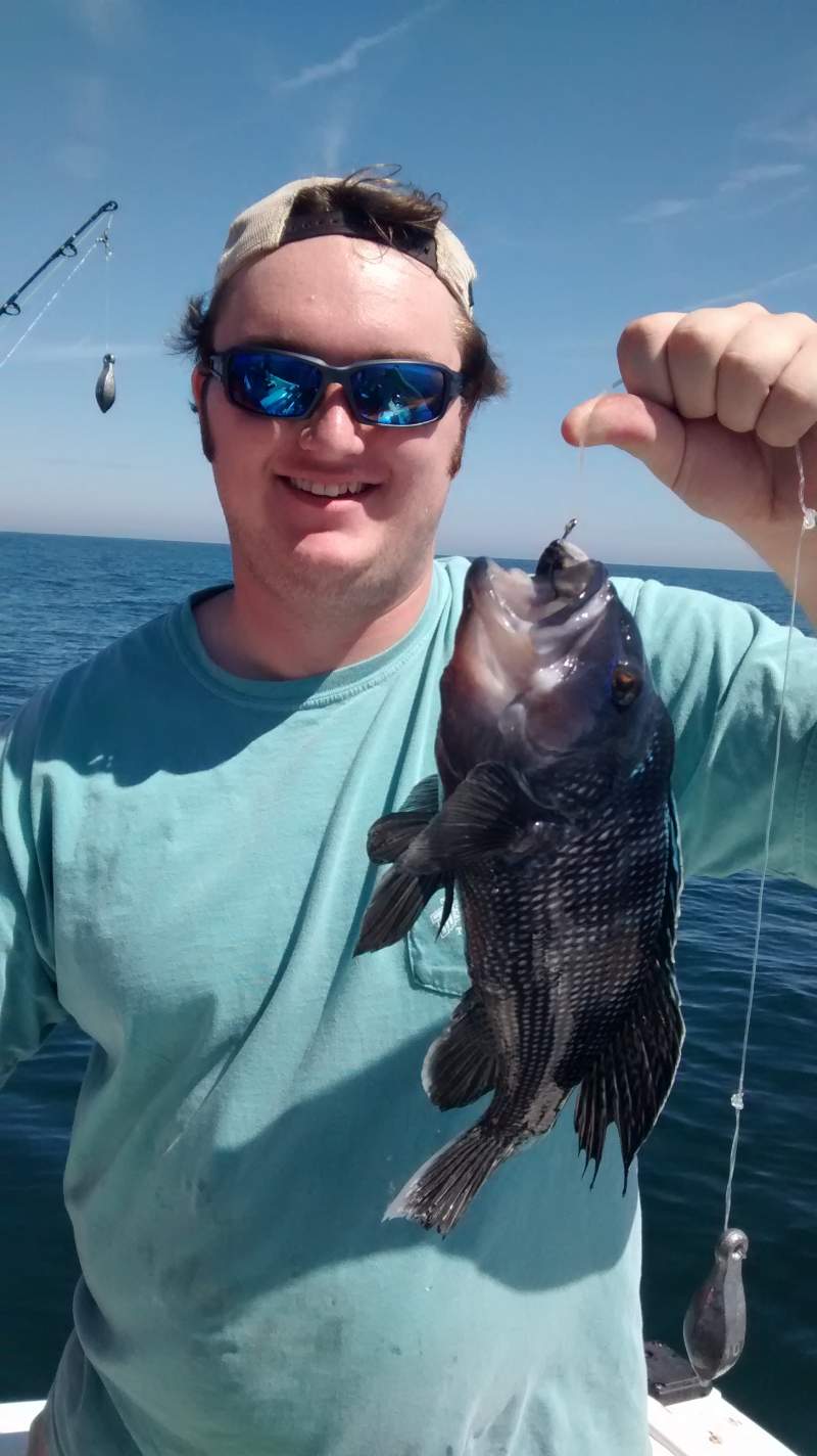 13 inch Sea Bass