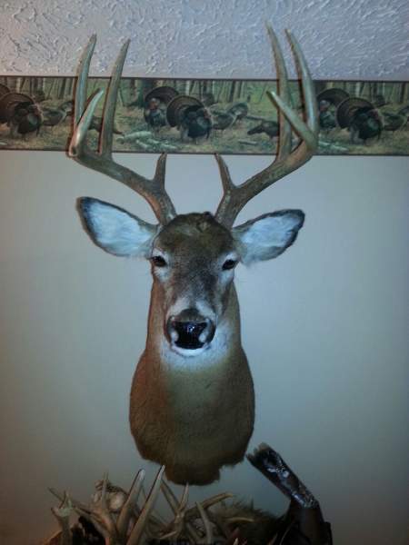 2005 late season muzzy. never scored. 

This is my new add on room. . .hunting stuff only!