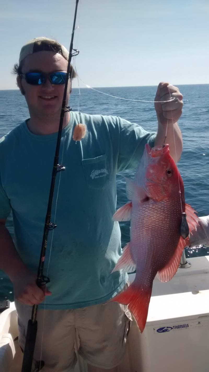Decent sized snapper
